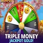 Triple Money Jackpot™ Gold!